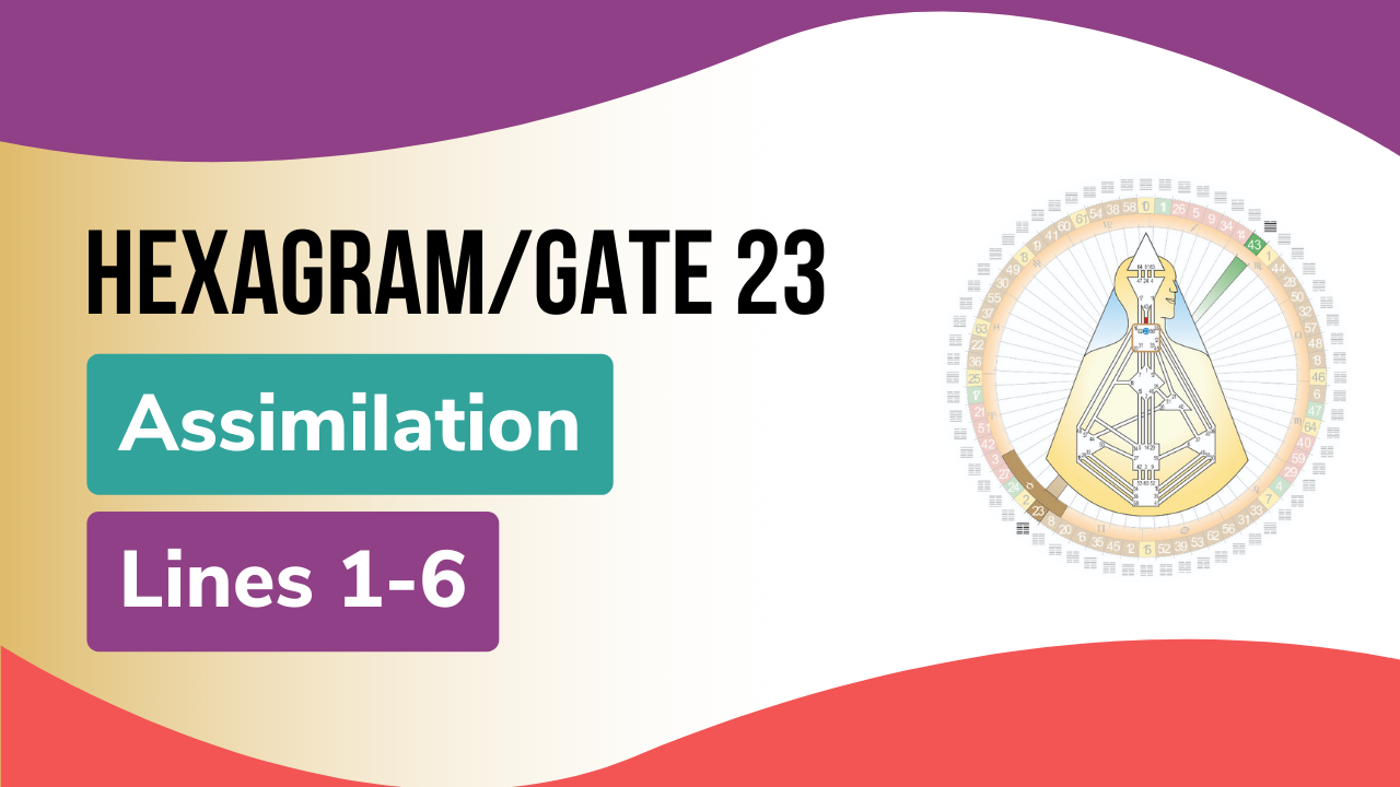 Human Design Gate 23 Assimilation image