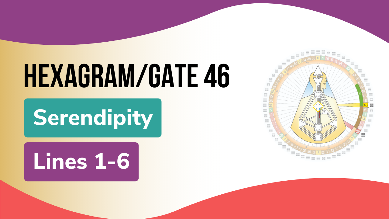 Gate 46 Serendipity featured image