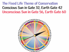 Gate 32 - The Fixed Life Theme of Conservation