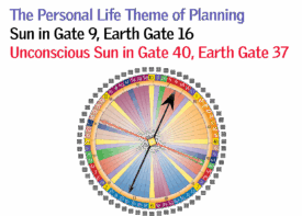 Gate 9 - The Personal Life Theme of Planning