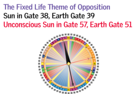 Gate 38 - The Fixed Life Theme of Opposition