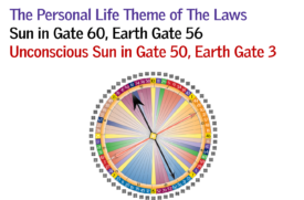 Gate 60 - The Personal Life Theme of The Laws