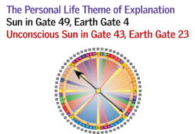 Gate 49 - The Personal Life Theme of Explanation.jpg